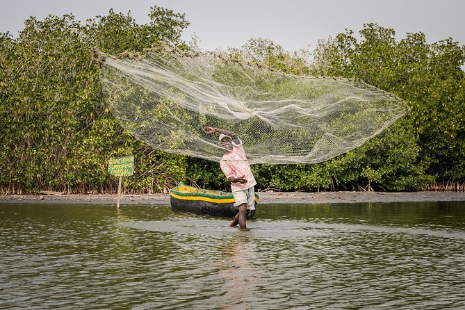 Shore Excursion Mangroves tour - Key reasons this Mangroves shore excursion is a solid pick
