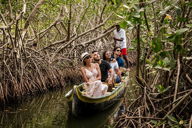 Shore Excursion Mangroves tour - Stop 1: Cartagena district mangroves by canoe, then UNESCO-area panoramas