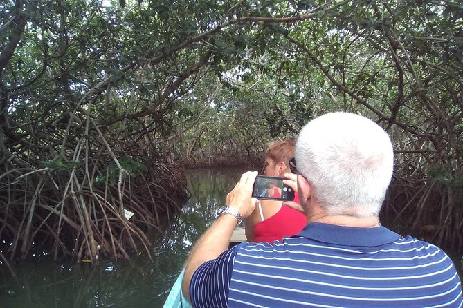 Shore Excursion Mangroves tour - Who should book this Mangroves tour, and who should skip it