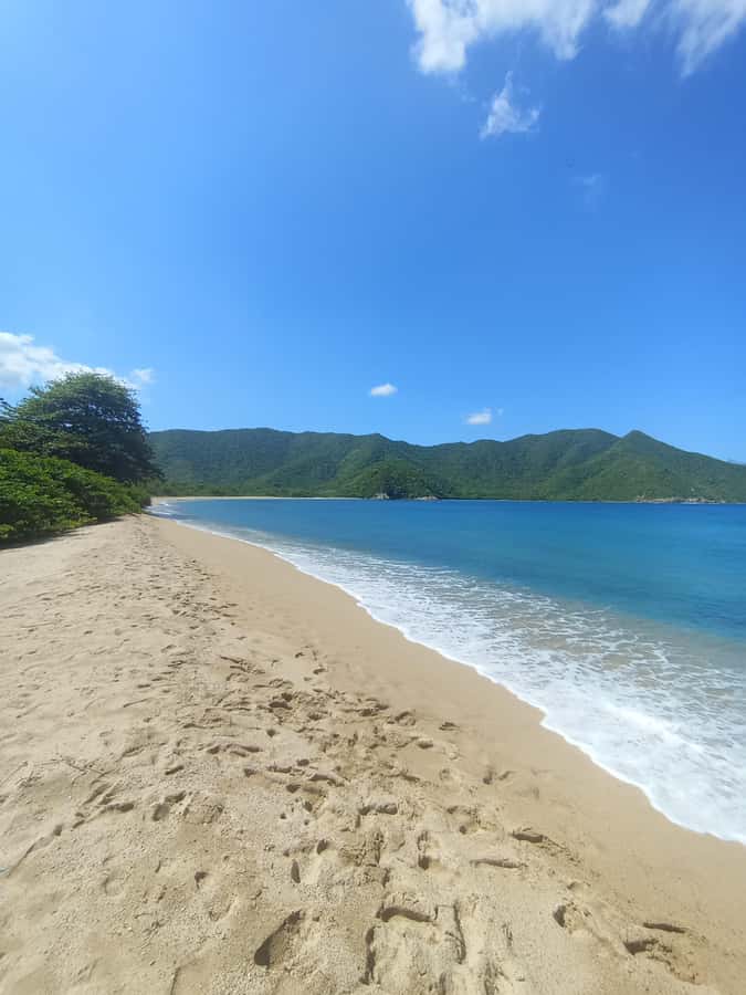 SPEEDBOAT TOUR TO TAYRONA CRISTAL BEACH - Key highlights at a glance