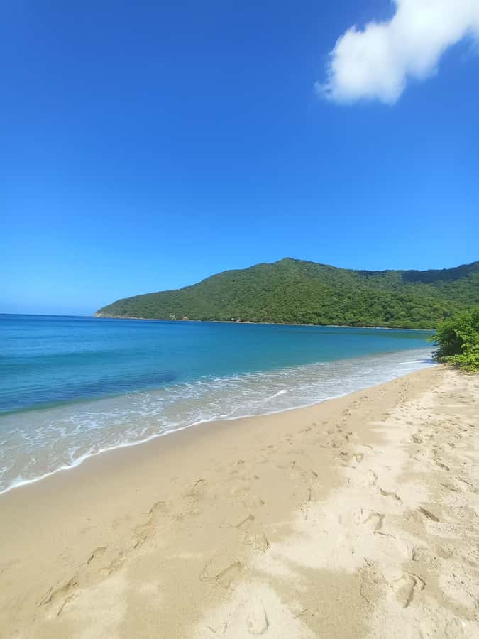 SPEEDBOAT TOUR TO TAYRONA CRISTAL BEACH - The 9:00 hotel pickup and the ride out to Tayrona
