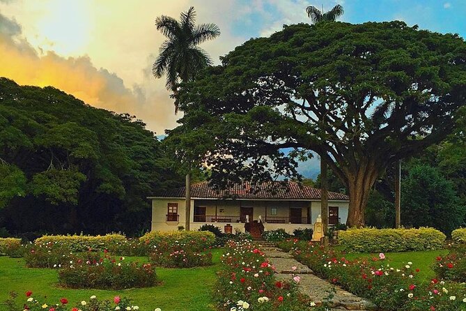 Sugar Cane Hacienda El Paraiso & Nature Day Tour - Price and value: what $111 buys you in the real world