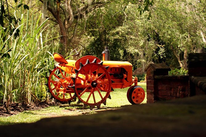 Sugar Cane Museum and Hacienda La María - Key highlights worth your attention