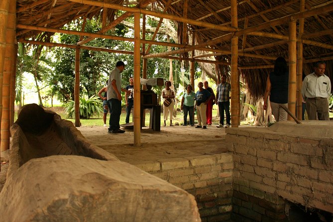 Sugar Cane Museum and Hacienda La María - Vinoteca Cava Jaramillo Solera and the Santa Solera tastings
