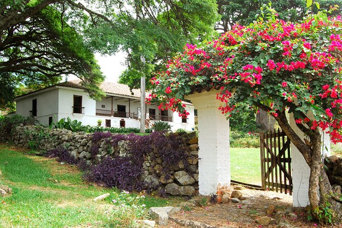 Sugar Cane Museum and Hacienda La María - Getting there, timing, and what to pack for a 6-hour loop