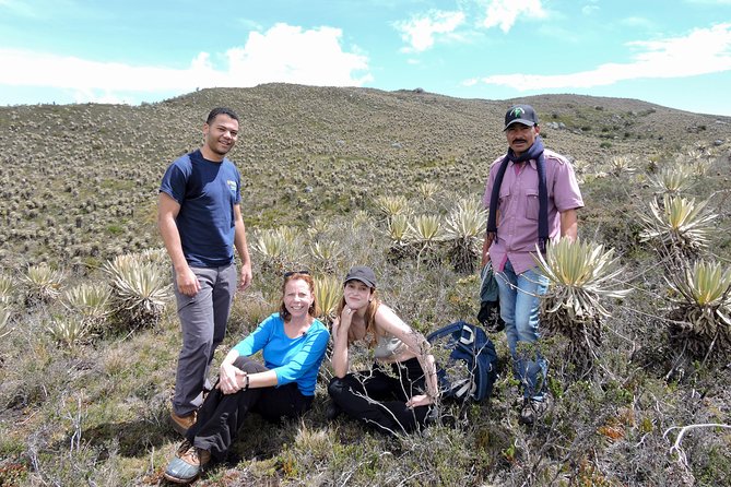 Sumapaz Mountaintop Páramo Trek - 4 hours - Why the Sumapaz páramo hike feels different than most “nature tours”