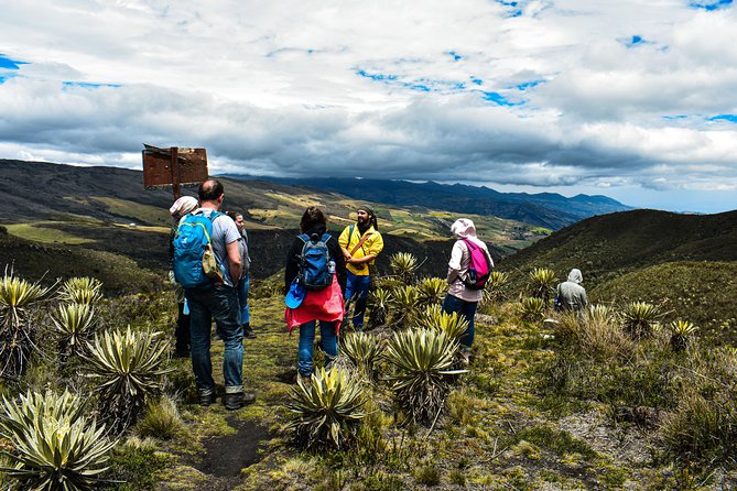 Sumapaz Páramo Private Hike Tour - Why Sumapaz Páramo feels like another world