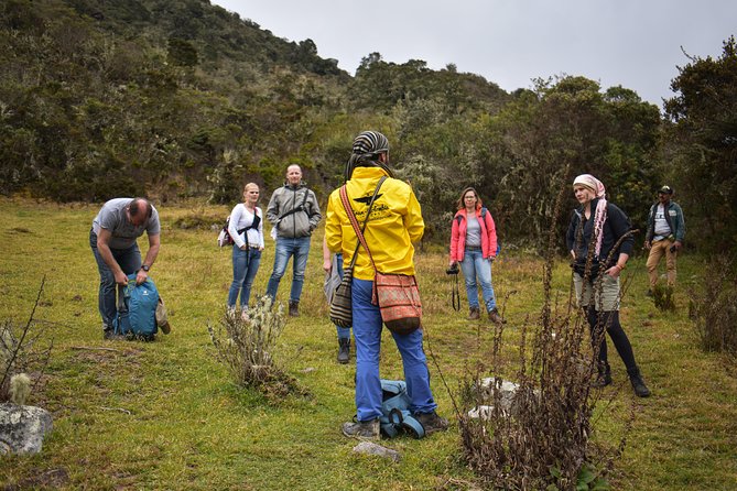 Sumapaz Páramo Private Hike Tour - The 8-hour plan at Paramo de Sumapaz: what happens step by step