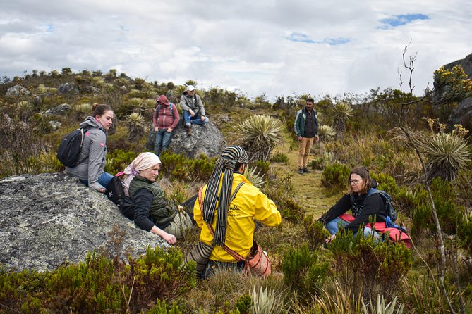 Sumapaz Páramo Private Hike Tour - Getting there without the stress: pickup, private pace, and remote terrain