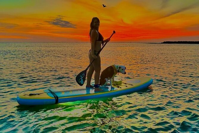 SUNSET GLOW Tour PaddleBoard - Equipment and instruction: why first-timers tend to feel comfortable