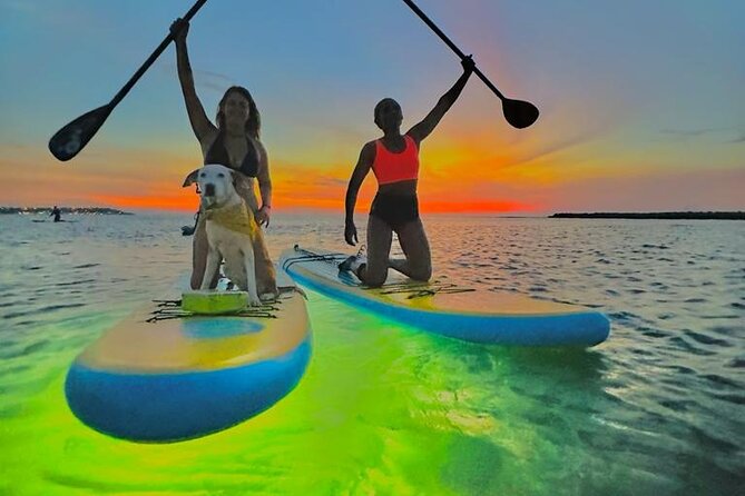 SUNSET GLOW Tour PaddleBoard - Things to watch for: language, sea conditions, and gear comfort
