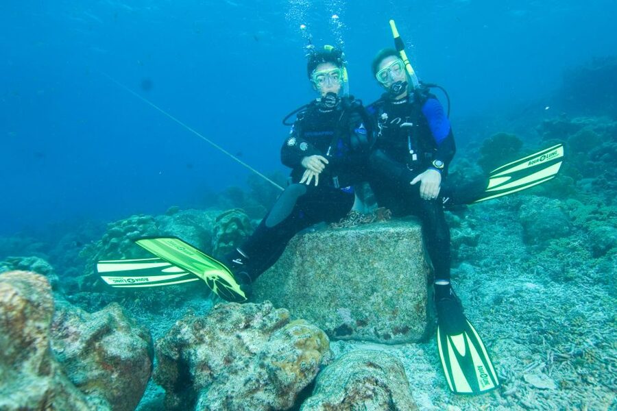 Tayrona National Park: Scuba Diving Tour for Beginners - What You’ll Likely See Underwater Around Tayrona