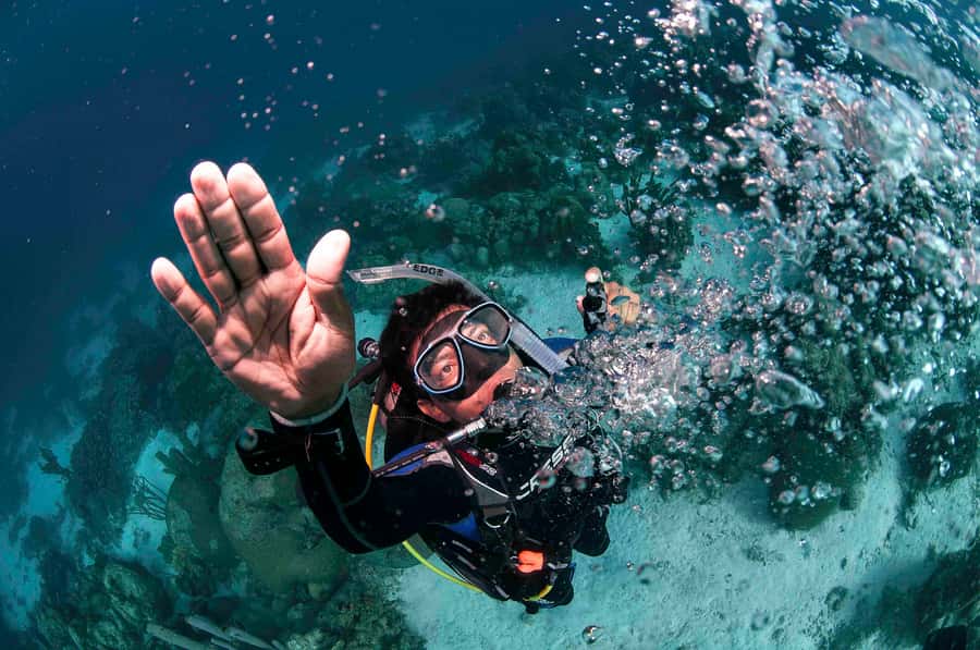 Tayrona National Park: Scuba Diving Tour for Beginners - Safety and Instructor Support in a Small Group Setting