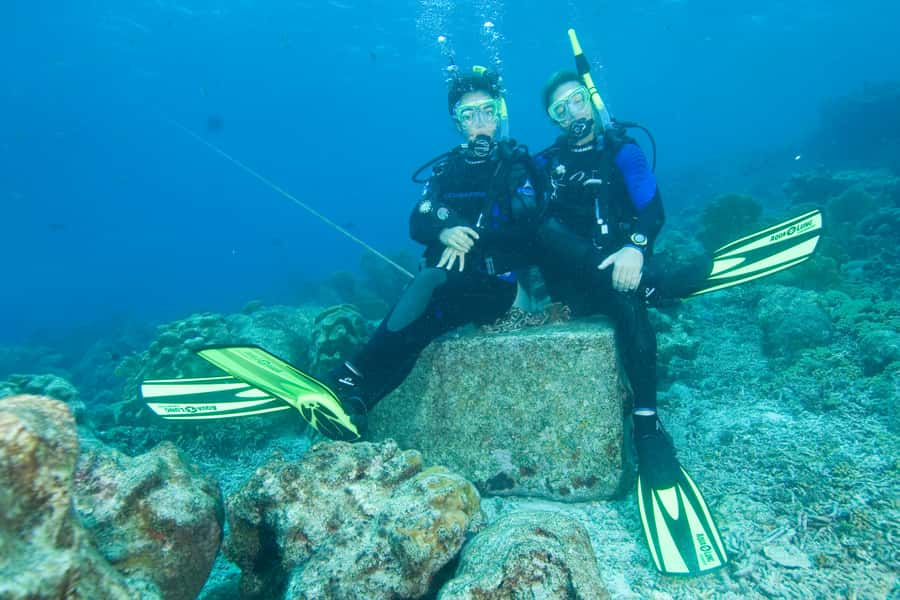 Tayrona National Park: Scuba Diving Tour for Beginners - Price and Value: What $138 Really Buys You