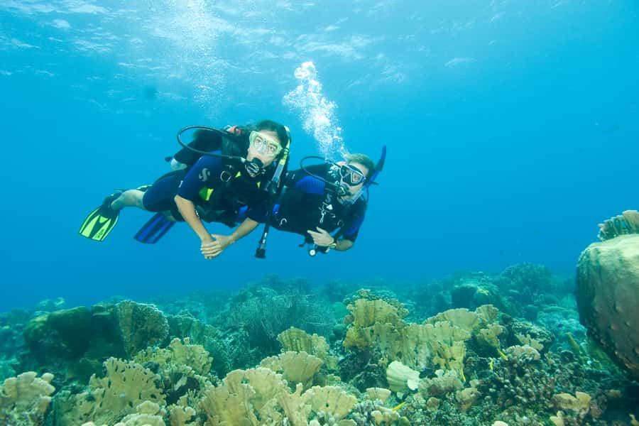 Tayrona National Park: Scuba Diving Tour for Beginners - What to Bring, What to Wear, and What Not to Do