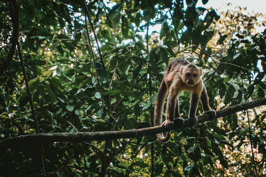 Tayrona Park & Cabo San Juan - Getting from Santa Marta to El Zaino, what the shared-van day really means
