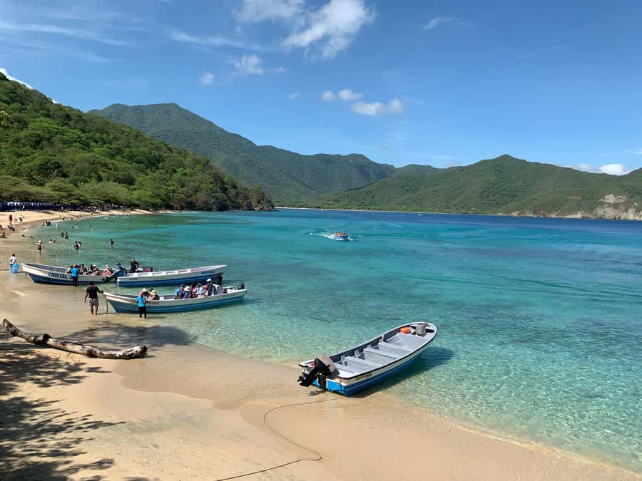 Tayrona Park & Playa Cristal - Who This Tayrona Park and Playa Cristal Trip Best Fits