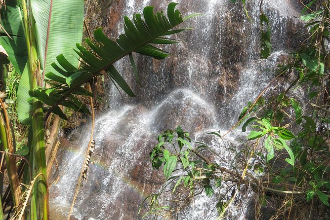 The Anti Coffee tour: a visit to La Cascada Arcoiris Farm - Rainbow Waterfall Stop and a Traditional Fonda Beer