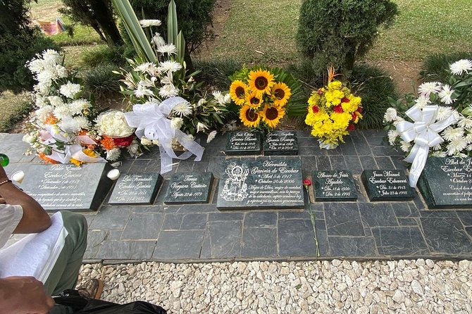 The Best Pablo City Tour In Medellin - Extra experiences and shows: what to know ahead