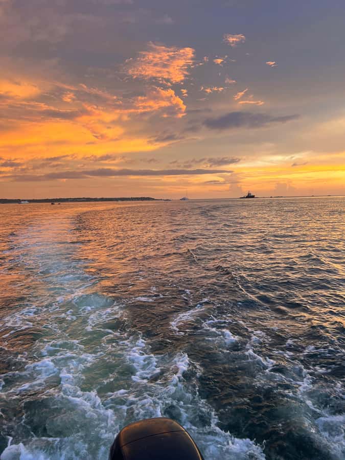 The best sunset tour in the bay: Open bar party & fun - Price and Value: Why $39 Feels Fair for What You Get
