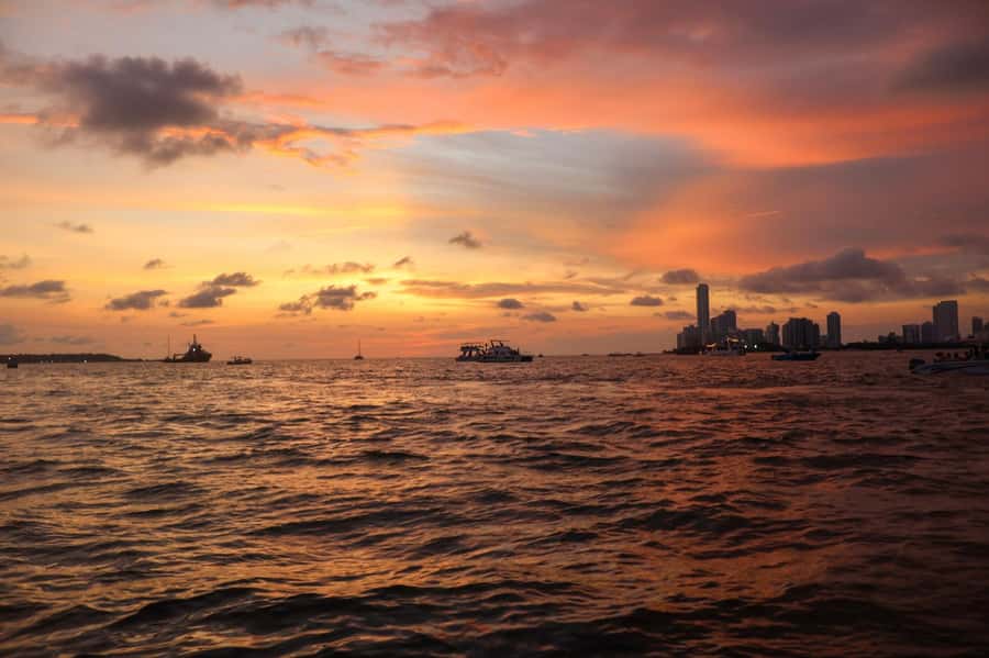 The best sunset tour in the bay: Open bar party & fun - Boarding the Sport Boat: Meet Your Crew and Get in the Flow