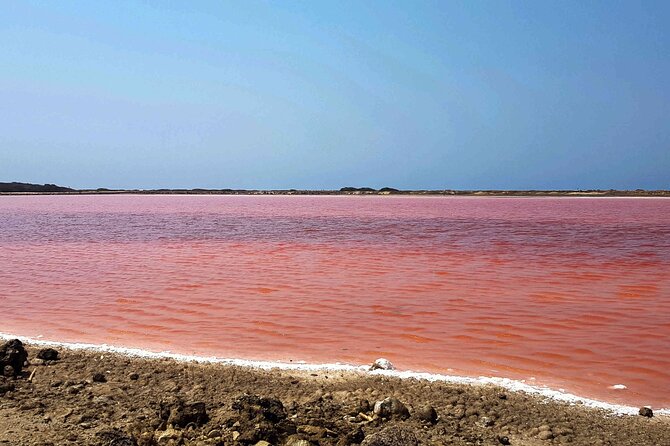 Totumo Volcano and Mar Rosa Tour in Cartagena with Lunch - Should You Book Totumo and Mar Rosa With Lunch?
