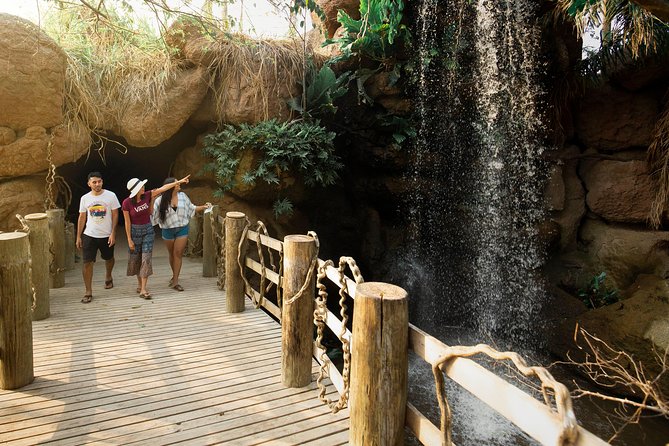 Tour al Aviario Nacional - Key Things I’d Put On Your Radar