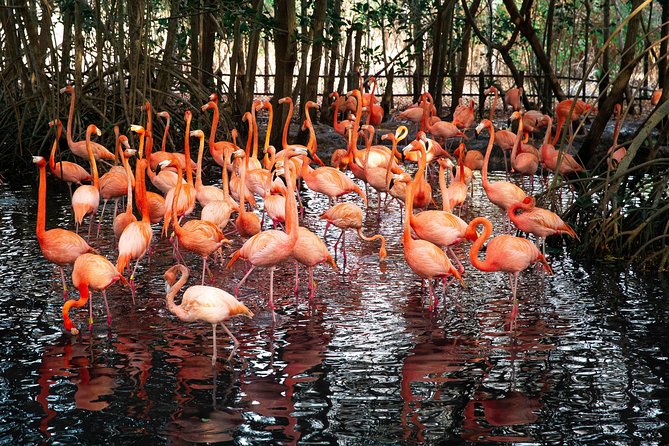 Tour al Aviario Nacional - Price and Value at $70: When This Feels Like a Win