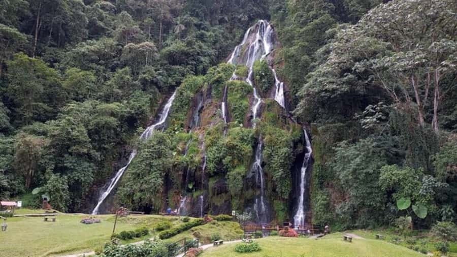 Tour Santa Rosa hot springs from Pereira, Armenia or Salento - TERMAL Passport Entry: What You’re Buying for $122