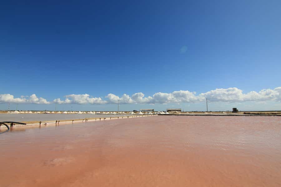 Tour to Punta Gallinas with Cabo de la Vela 3 Days - Day 3: Mayapo Beaches, Water-Sports Winds, and Back to Riohacha