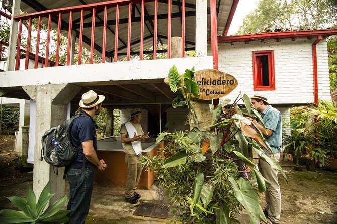 Traditional Coffee Farm Experience at Hacienda Coloma from Bogotá - Bogotá to Fusagasugá, Where the Air Changes for Coffee