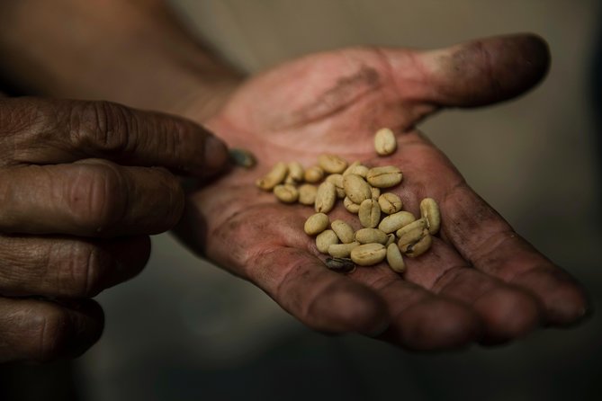 Traditional Coffee Farm Experience at Hacienda Coloma from Bogotá - Lunch, Fruit, and a Market Stop That Breaks Up the Drive