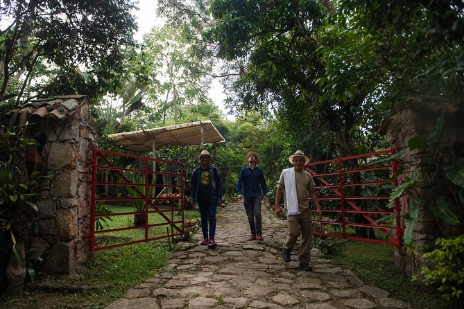 Traditional Coffee Farm Experience at Hacienda Coloma from Bogotá - Practical Tips for a Smooth Hacienda Coloma Morning
