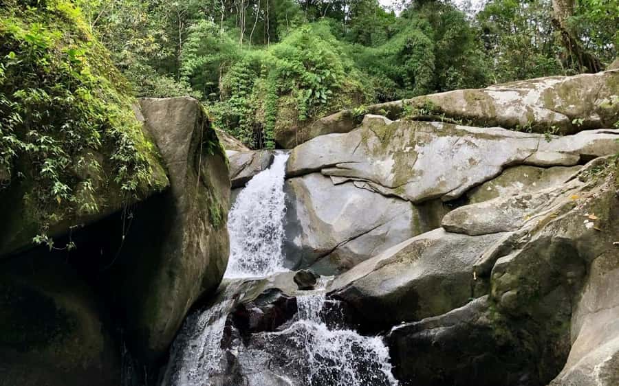 Trekking History and Indigenous Heritage in Minca + Cacao & Coffee + Waterfall - Meeting at Parque de Minca and setting your pace