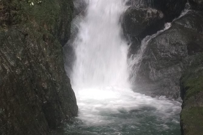 Trekking & Rivering Reserve Pericos - Key highlights to know before you go