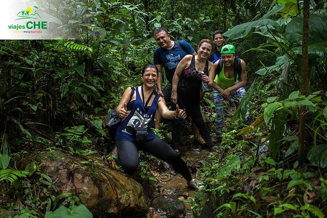 Trekking & Rivering Reserve Pericos - The guide factor: Cesar, biodiversity lessons, and Indigenous mountain stories