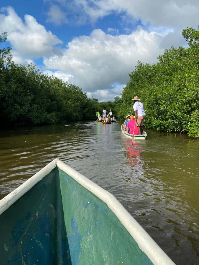 Typical lunch on beach, mangrove tour & fishing with natives - Key things you will notice on this tour