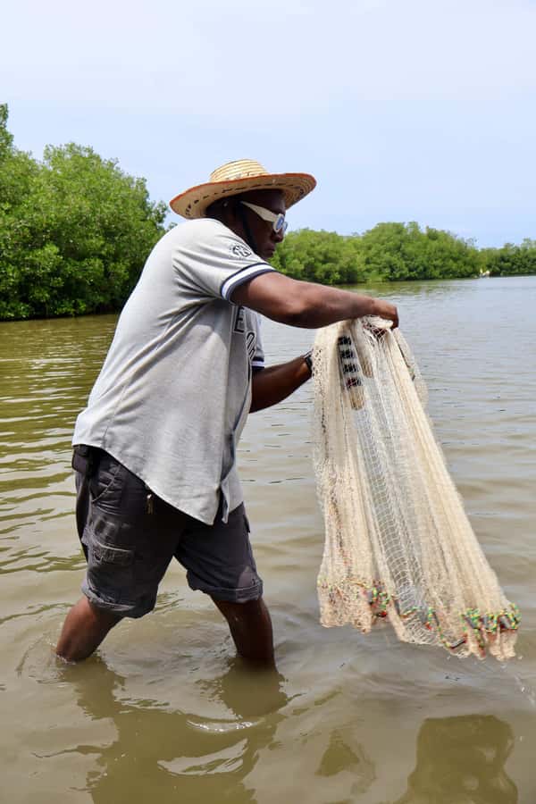 Typical lunch on beach, mangrove tour & fishing with natives - Should you book this mangrove lunch and fishing tour?