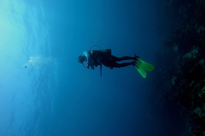 Under a sea of adventures, unforgettable diving. - Key things I’d zero in on before you go