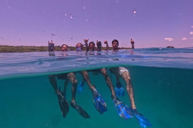 Under a sea of adventures, unforgettable diving. - Cartagena’s morning start at Muelle de la Bodeguita