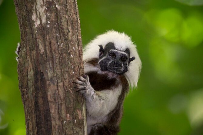 UTV Safari in a Wildlife-Filled Nature Reserve Near Cartagena - Key highlights you should know