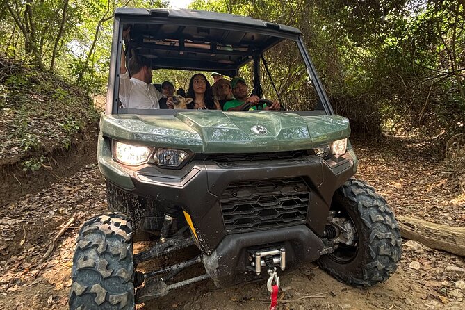 UTV Safari in a Wildlife-Filled Nature Reserve Near Cartagena - Harvesting cassava and papaya with local farmers