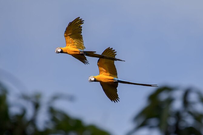 UTV Safari in a Wildlife-Filled Nature Reserve Near Cartagena - Planting a native tree: your lasting contribution