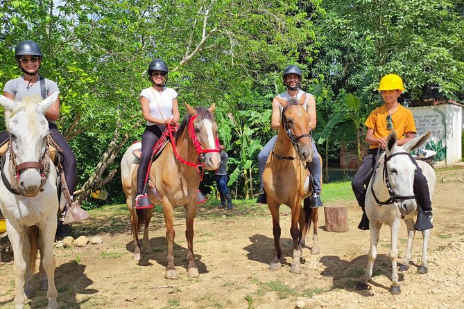 UTV Thrills & Horseback Ride at Wildlife Paradise Near Cartagena - Tree Planting and the Little Ritual That Makes It Stick