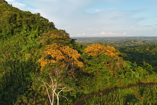 UTV Thrills & Horseback Ride at Wildlife Paradise Near Cartagena - Price and Value: Is $169 a Good Deal?