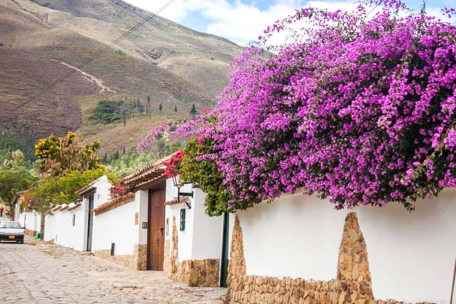 Villa de Leyva Trip by Private Transportation - Driver Experience: Responsible Driving and Accommodating Stops