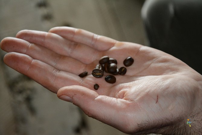 Visit and live a colombian coffee plantation (group tour) - Group Pace and Practical Comfort: What a Max-20 Day Trip Feels Like