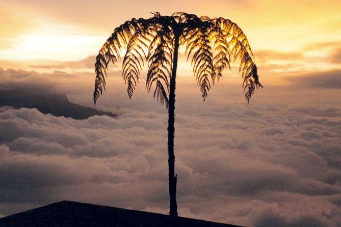 Visit to Chicaque Natural Park Private Tour from Bogotá. (8 Hrs.) - Chicaque Natural Park is a quick escape from Bogotá