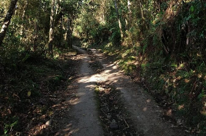 Visit to Chicaque Natural Park Private Tour from Bogotá. (8 Hrs.) - The on-site lunch that keeps the day realistic
