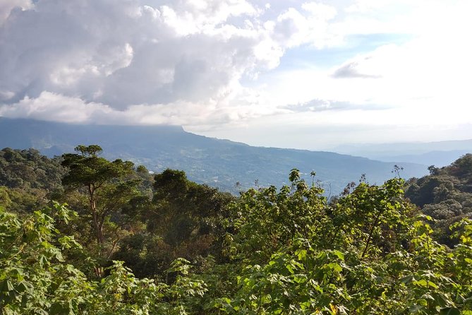 Visit to Chicaque Natural Park Private Tour from Bogotá. (8 Hrs.) - How a private guide changes the value of the day